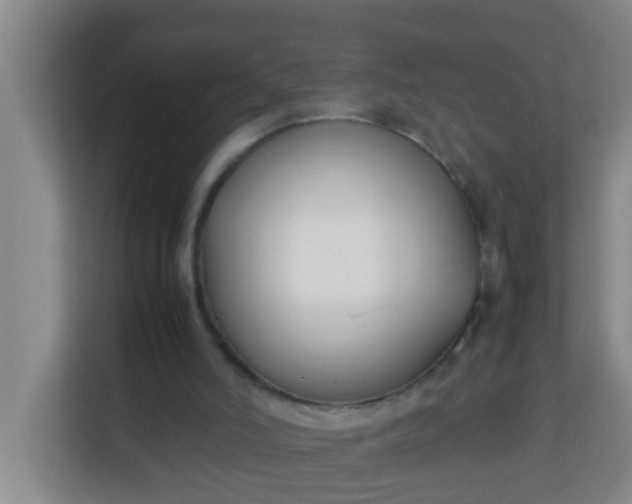 X0000113930006200910091612