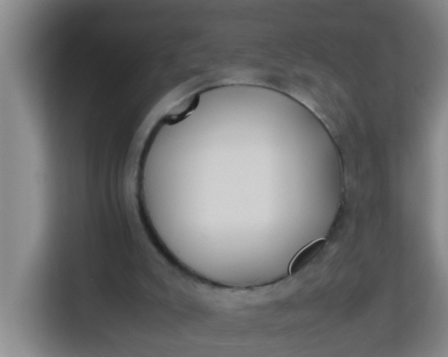 X0000113930007200910091612