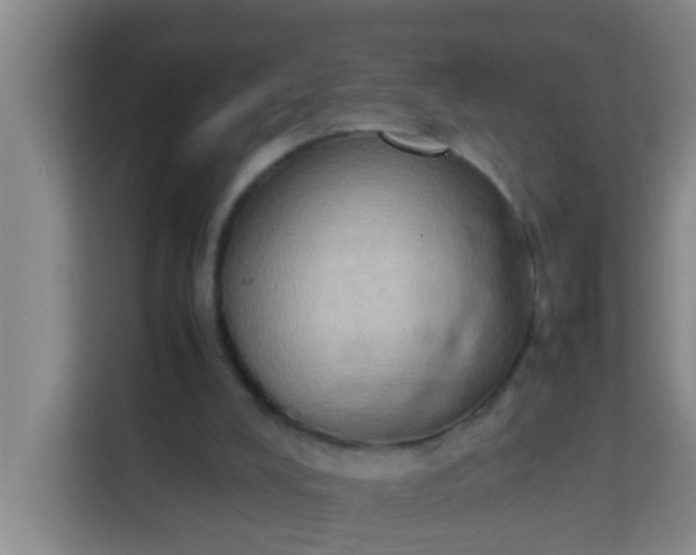 X0000113930008200910091612