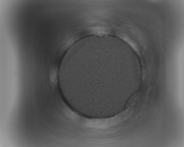 X0000113930009200910091612