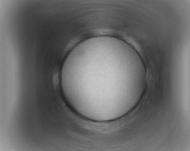 X0000113930010200910091612