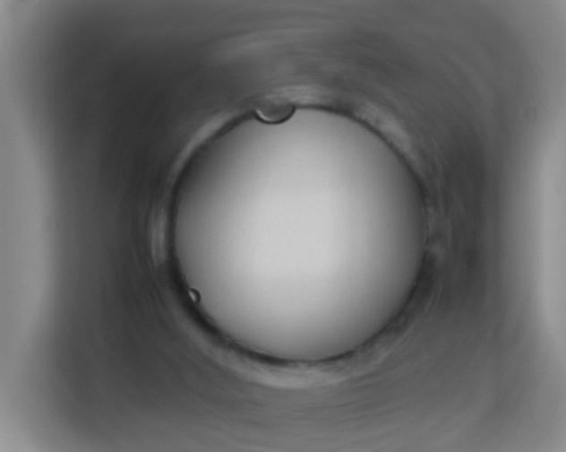 X0000113930012200910091612