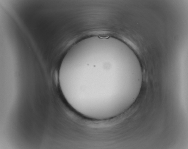 X0000113930013200910091612