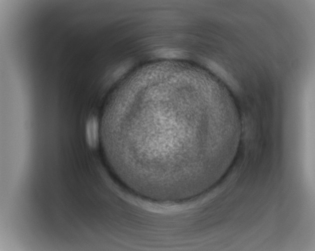 X0000113930014200910091612