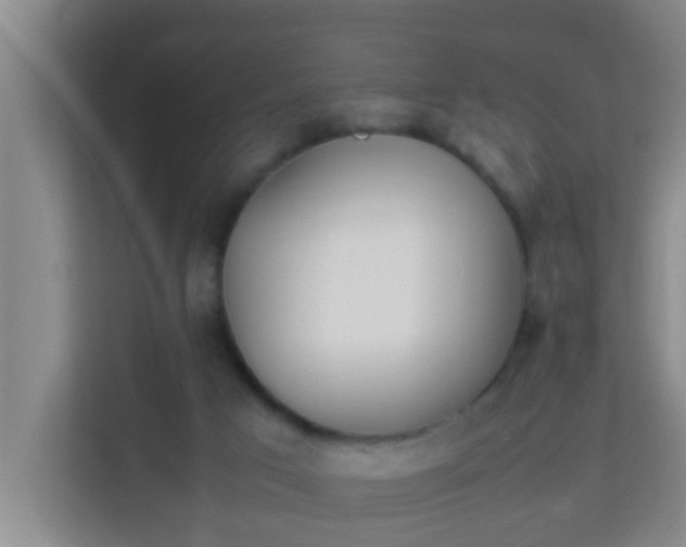 X0000113930017200910091612