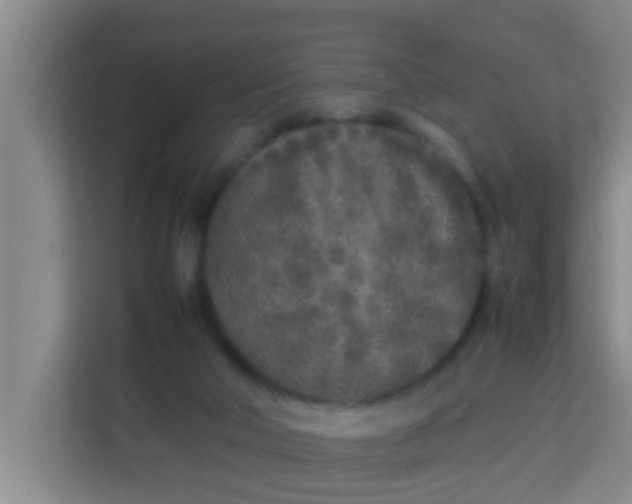 X0000113930018200910091612