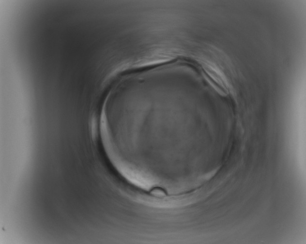 X0000113930019200910091612