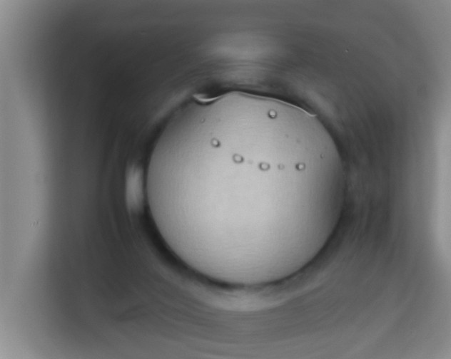 X0000113930020200910091612