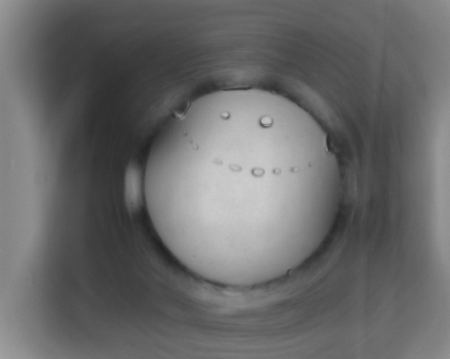 X0000113930022200910091612