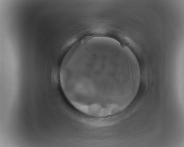 X0000113930023200910091612