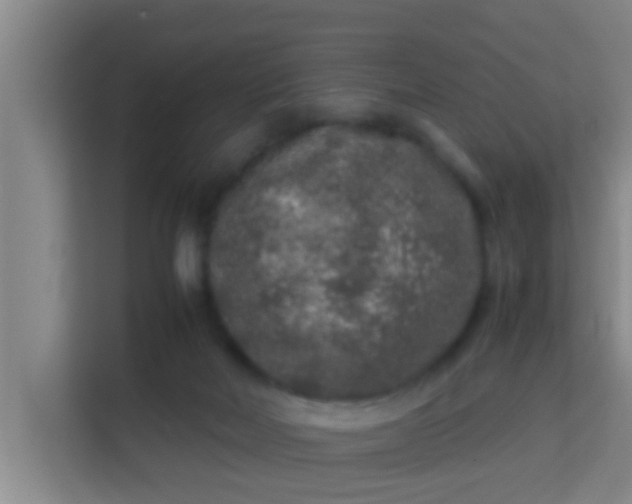 X0000113930026200910091612