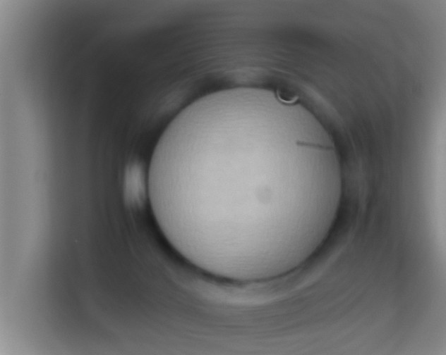 X0000113930028200910091611