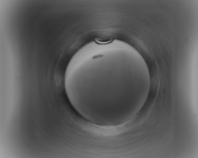 X0000113930031200910091611