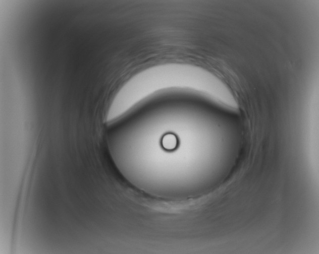 X0000113930033200910091611