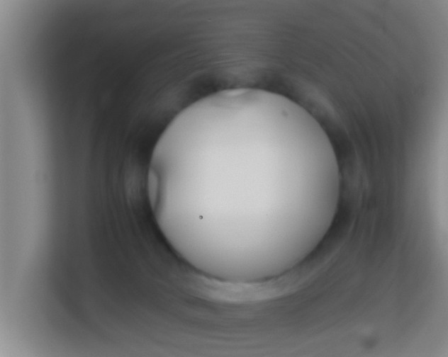 X0000113930034200910091611