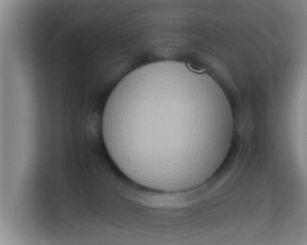 X0000113930036200910091611