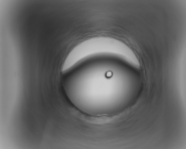 X0000113930037200910091611