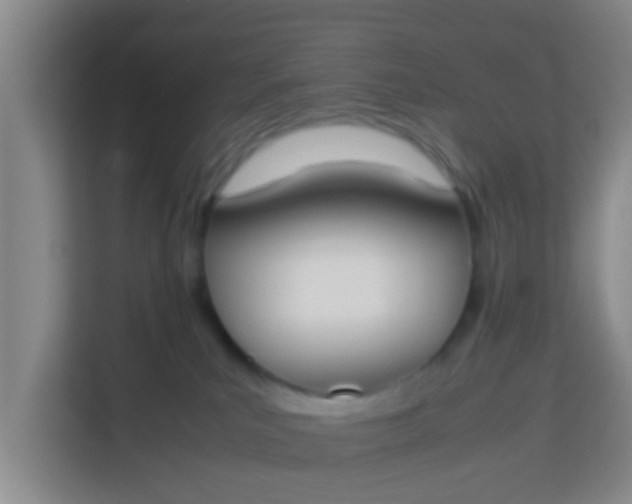 X0000113930039200910091611