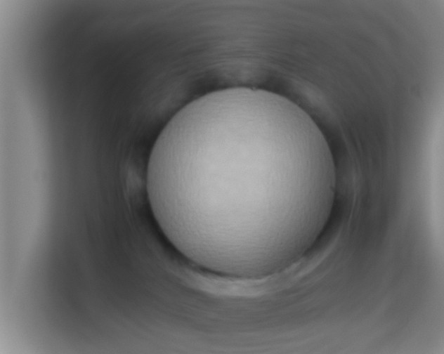 X0000113930040200910091611