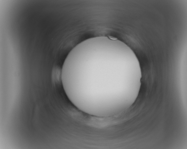 X0000113930041200910091611