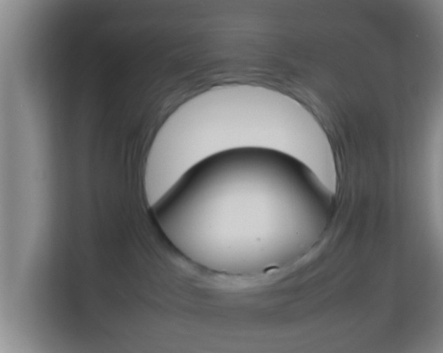 X0000113930045200910091611