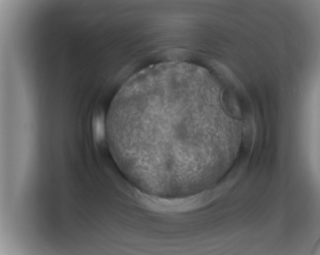 X0000113930046200910091611