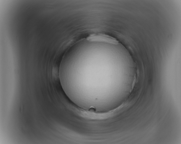 X0000113930048200910091611