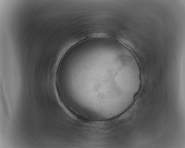 X0000113930049200910091611