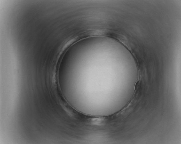 X0000113930050200910091611