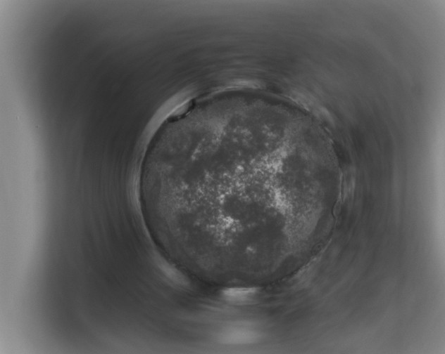 X0000113930051200910091611