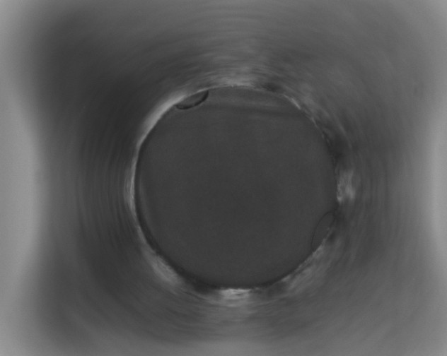 X0000113930052200910091611