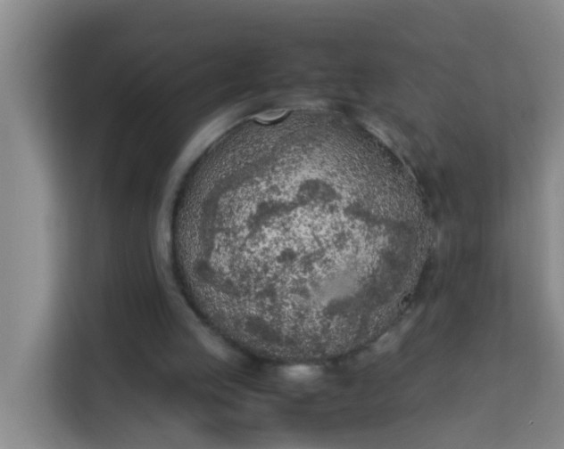 X0000113930053200910091611