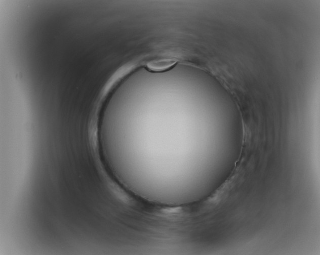 X0000113930054200910091611