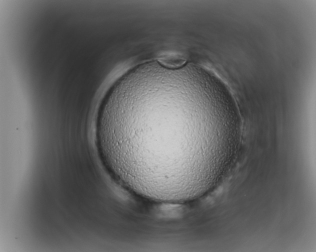 X0000113930055200910091611