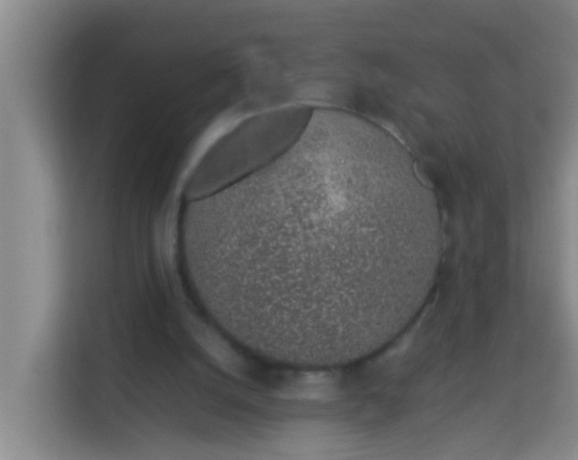 X0000113930056200910091611