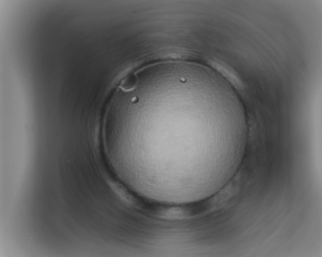 X0000113930058200910091611