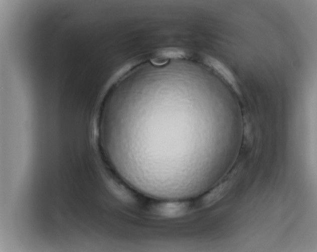 X0000113930059200910091611