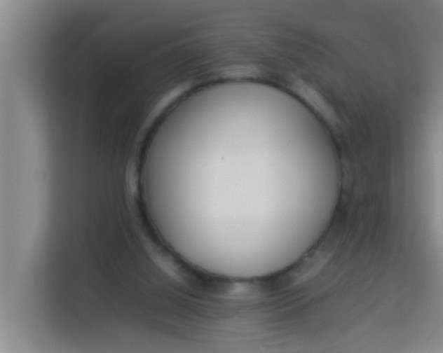 X0000113930060200910091611