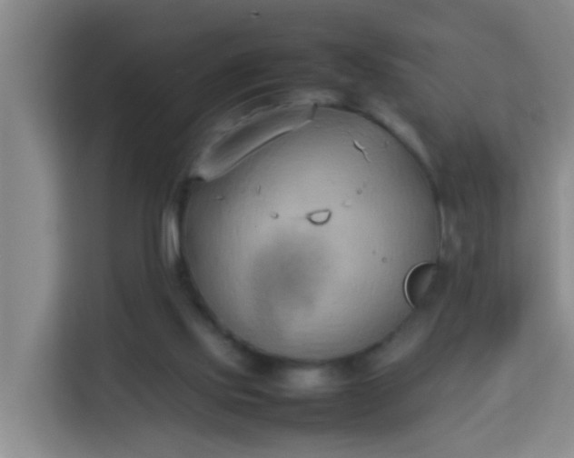 X0000113930061200910091611