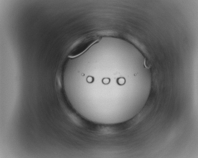 X0000113930062200910091611