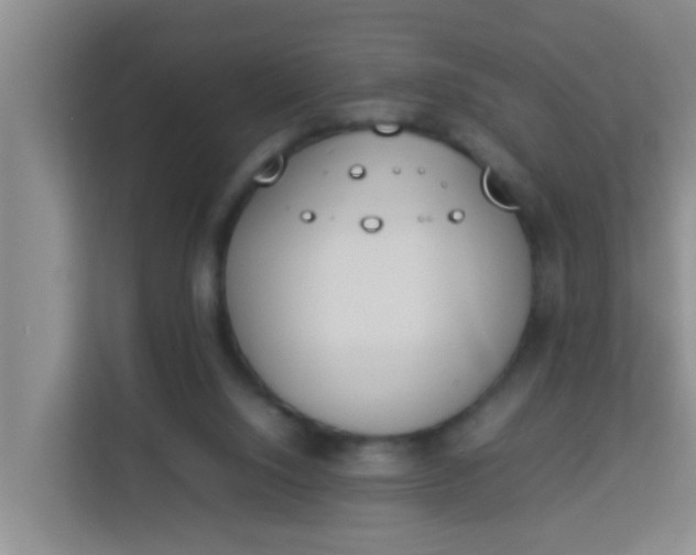 X0000113930064200910091611