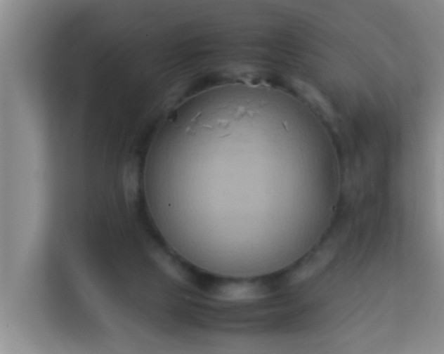 X0000113930065200910091611