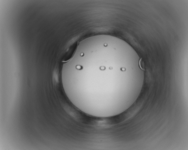 X0000113930068200910091611