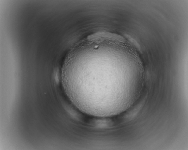 X0000113930069200910091611