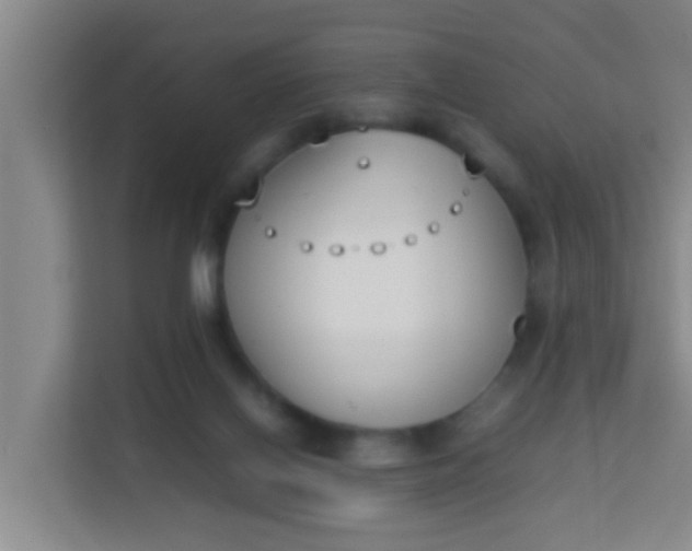 X0000113930070200910091611