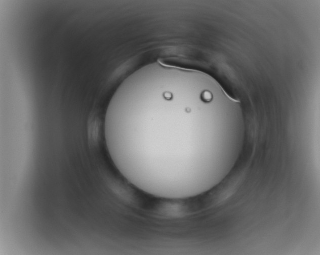 X0000113930071200910091611