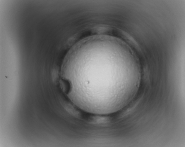 X0000113930073200910091611