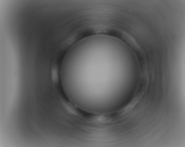 X0000113930074200910091611