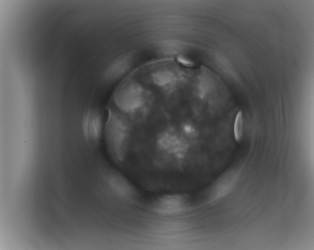 X0000113930076200910091611