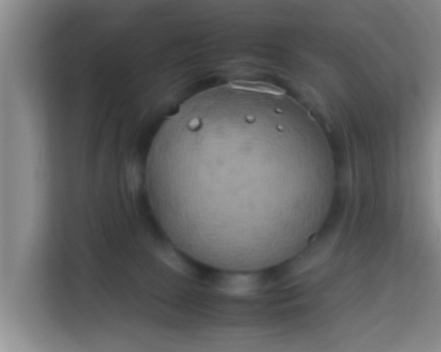 X0000113930081200910091611